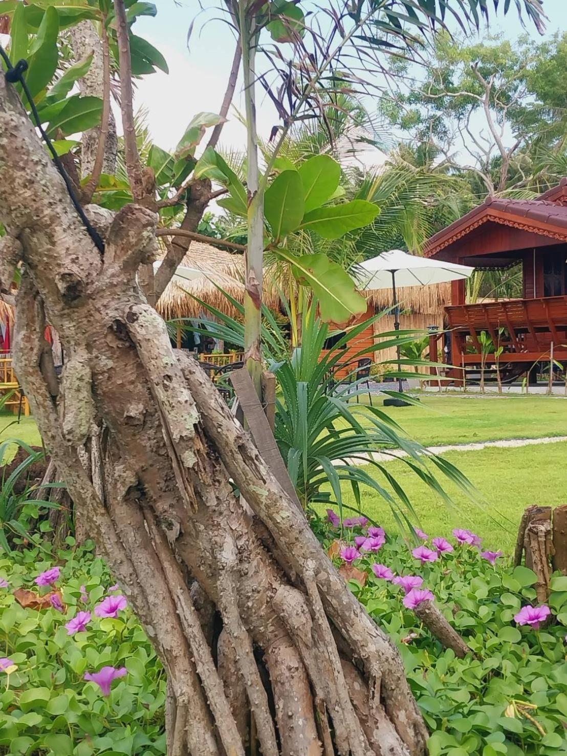 Walden Koh Lanta - Tiny Homes By The Sea Bagian luar foto